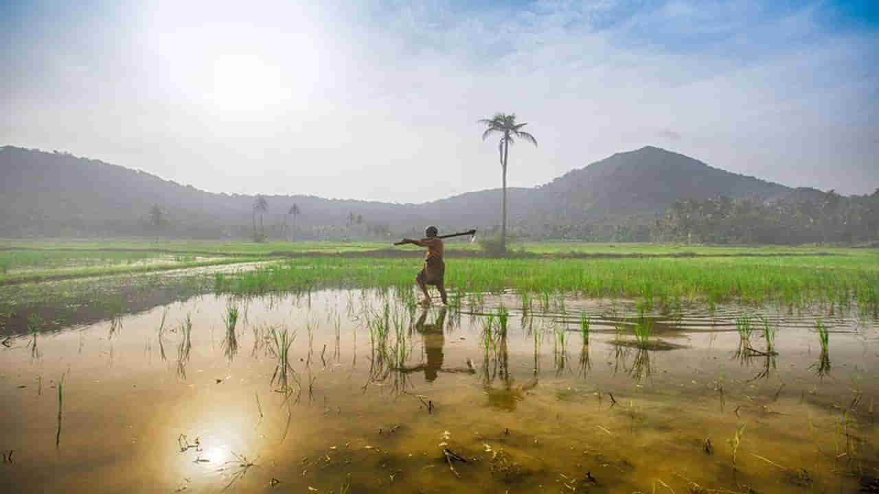 పొలానికి నీరు పెట్టేందుకు వెళ్లి రైతు మాయం.. తెల్లారి ఊరంతా కలకలం! కట్ చేస్తే బిత్తరపోయిన జనం