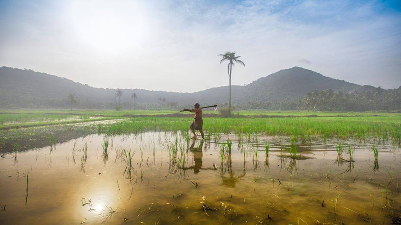 పొలానికి నీరు పెట్టేందుకు వెళ్లి రైతు మాయం.. తెల్లారి ఊరంతా కలకలం! కట్ చేస్తే బిత్తరపోయిన జనం