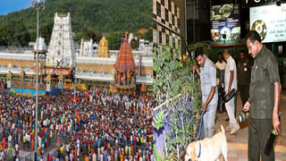 Jirahi Mata Temple: 700ఏళ్లుగా మత సామరస్యానికి చిహ్నం ఈ అమ్మవారి ఆలయం.. హిందూ, ముస్లింలు పూజలు..