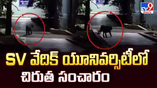 Pedda Amberpet: పెద్ద అంబర్‌పేట్ లో దొంగల బీభత్సం