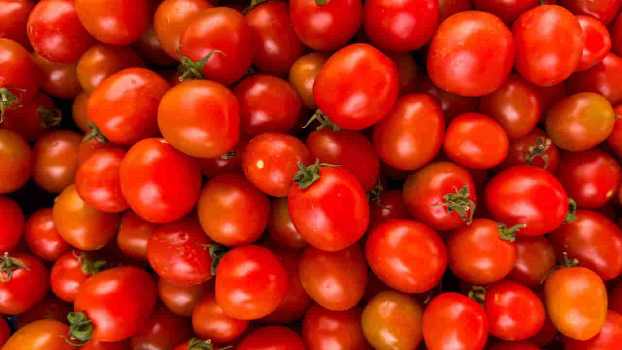 కిలో టమాటా రూ.600..! బంగారం ధరను మించి పోతుందా ఏంటీ..? ఇంతకీ ఇంత ధర ఎక్కడంటే..?