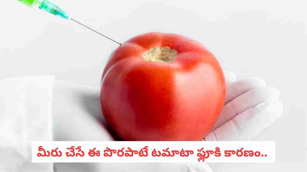 Tomato Flu: వేగంగా విస్తరిస్తోన్న టమాటా వైరస్.. ఎవరికి ఎక్కువ రిస్కో తెలుసా?