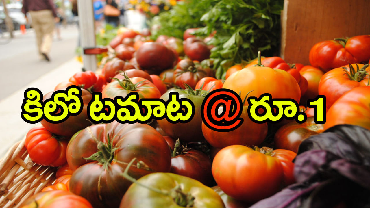 Tomato Price Today: ‘టమాటా’ ధరలు ఢమాల్‌.. కిలో కేవలం రూ.1 మాత్రమే! ఎక్కడంటే..
