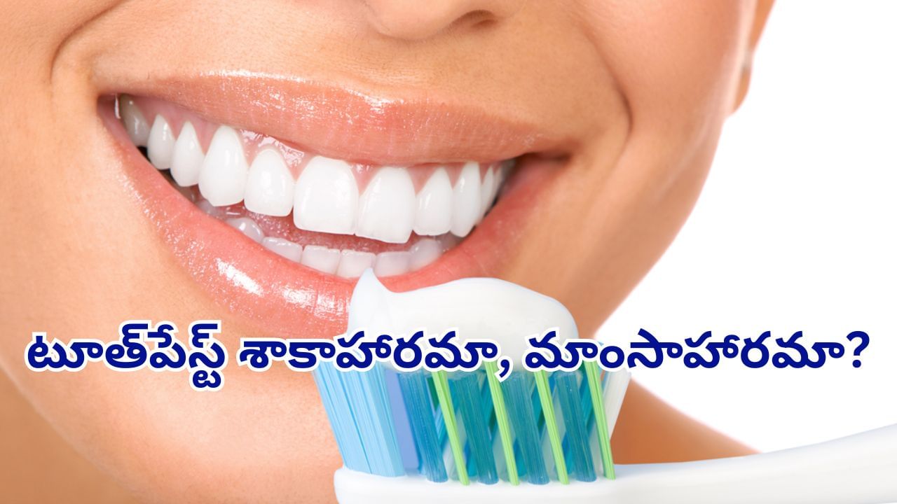 Toothpaste: ఓరీ దేవుడో.. మీరు వాడే టూత్‌పేస్ట్‌లో ఏముందో తెలుసా..? వెజిటేరియన్స్ ఈ విషయాలు తెలుసుకోవాల్సిందే..!