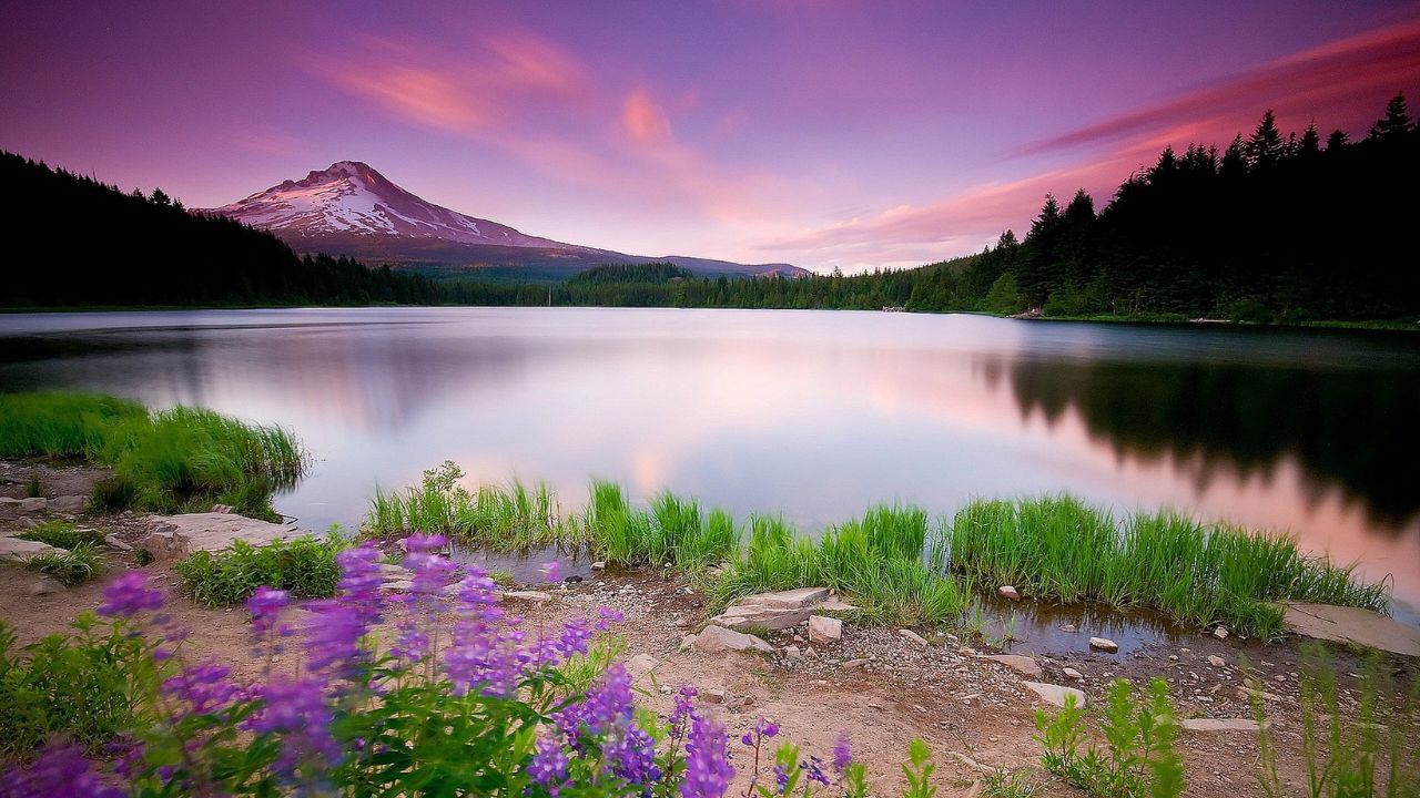 Tourist Places: ఈ టూరిస్ట్ ప్లేసులు త్వరలో కనుమరుగవుతాయని తెలుసా?