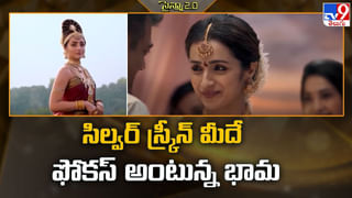 Serial Actress: అబ్బబ్బో.. అదరగొట్టేస్తోన్న రుద్రాణి అత్త.. నెట్టింట గ్లామర్ గత్తరలేపుతున్న సీరియల్ విలన్..