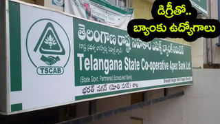 Naipunyam Portal: నిరుద్యోగ యువతకు ఉద్యోగాల గేట్ వేగా ‘నైపుణ్యం’ పోర్టల్.. ఇకపై ప్రతీ నెలా జాబ్ మేళాలు: సీఎం చంద్రబాబు