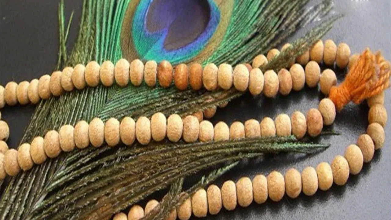  
తులసి మాల ధరించిన తర్వాత మాంసం, మద్యం, ఉల్లిపాయలు, వెల్లుల్లి , తామసిక ఆహారాలకు దూరంగా ఉండాలి. అంతే కాదు తులసి మాల ధరించే సమయంలో ధరించిన తర్వాత అబద్ధం, మోసం లేదా హింస వంటి చెడు పనులకు పాల్పడకూడదు. మాంసం లేదా మత్తు పదార్థాలు అలవాటు ఉన్నవారు తులసి మాలను ధరించకూడదు.
