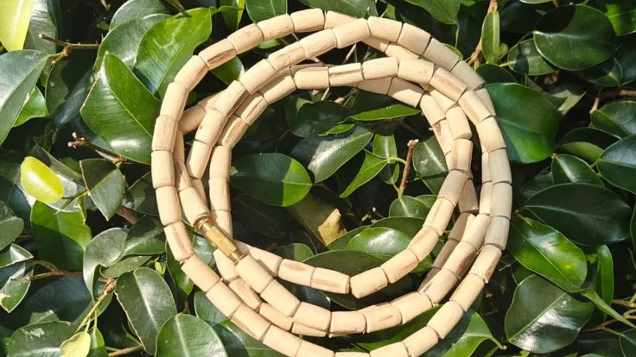  
నిద్రపోయేటప్పుడు తులసి దండ ధరించడం మతపరమైన, వ్యక్తిగత పవిత్రతకు సంబంధించిన విషయం. అయితే ఏదైనా అసౌకర్యం లేదా అశుద్ధతను నివారించడానికి.. వివాహితులు నిద్రపోయే ముందు తులసి దండను తీసి పవిత్ర స్థలంలో పెట్టుకోవాలి. 
