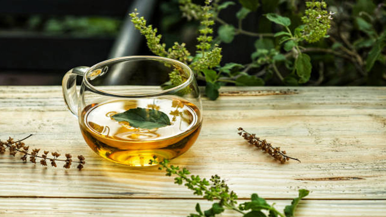 తులసి టీలో ఉండే పోషకాలు ఓవరాల్‌ హెల్త్‌ను మెరుగుపరుస్తాయి. తులసి టీ తాగడం వల్ల బాడీలో టాక్సిన్లు సులభంగా బయటకుపోతాయి. బాడీ క్లీన్ అవుతుంది. తులసిలో యాంటీ ఇన్‌ఫ్లమేటరీ గుణాలు ఎక్కువగా ఉంటాయి. తులసి టీ తాగడం వల్ల శ్వాస సంబంధిత సమస్యలు తగ్గుతాయి.