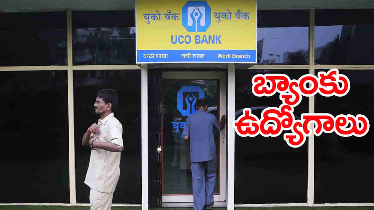 UCO Bank Jobs 2025: డిగ్రీ అర్హతతో యూకో బ్యాంక్‌లో భారీగా ఉద్యోగాలు.. తెలుగు రాష్ట్రాల్లో పోస్టుల వివరాలు ఇవే