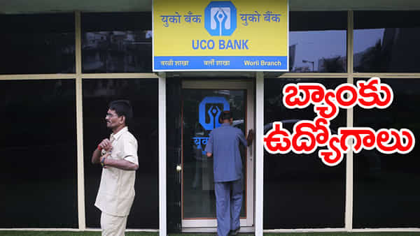 UCO Bank Jobs 2025: డిగ్రీ అర్హతతో యూకో బ్యాంక్లో భారీగా ఉద్యోగాలు.. తెలుగు రాష్ట్రాల్లో పోస్టుల వివరాలు ఇవే