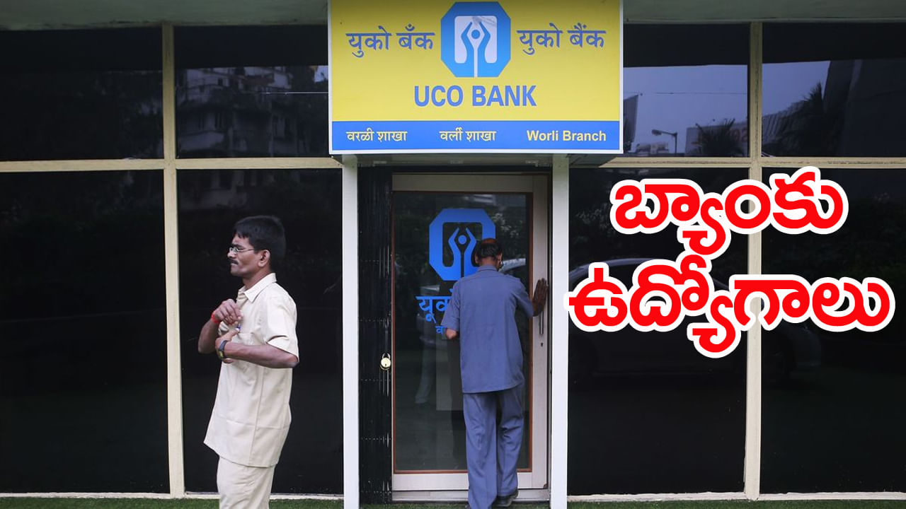 UCO Bank Jobs 2025: డిగ్రీ అర్హతతో యూకో బ్యాంక్‌లో భారీగా ఉద్యోగాలు.. తెలుగు రాష్ట్రాల్లో పోస్టుల వివరాలు ఇవే