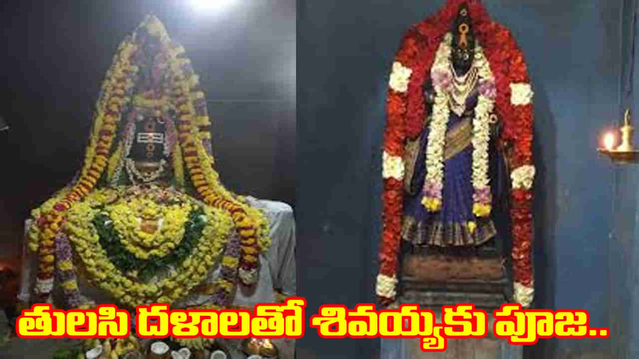 Unique Shiva Temple: చంద్ర దోషమా, దంపతుల మధ్య గొడవలా.. ఇక్కడ శివయ్యకు తులసి దళాలతో పూజ చేయండి..