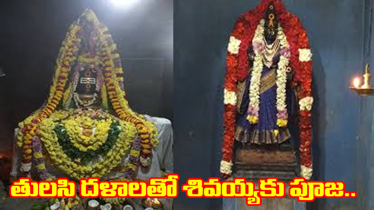 Unique Shiva Temple: చంద్ర దోషమా, దంపతుల మధ్య గొడవలా.. ఇక్కడ శివయ్యకు తులసి దళాలతో పూజ చేయండి..
