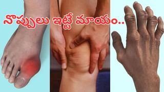పిల్లలకు ఇష్టమైన చాక్లెట్ పీనట్ కుకీస్ ఇంట్లోనే చేసుకోండి.. రెసిపీ మీ కోసం
