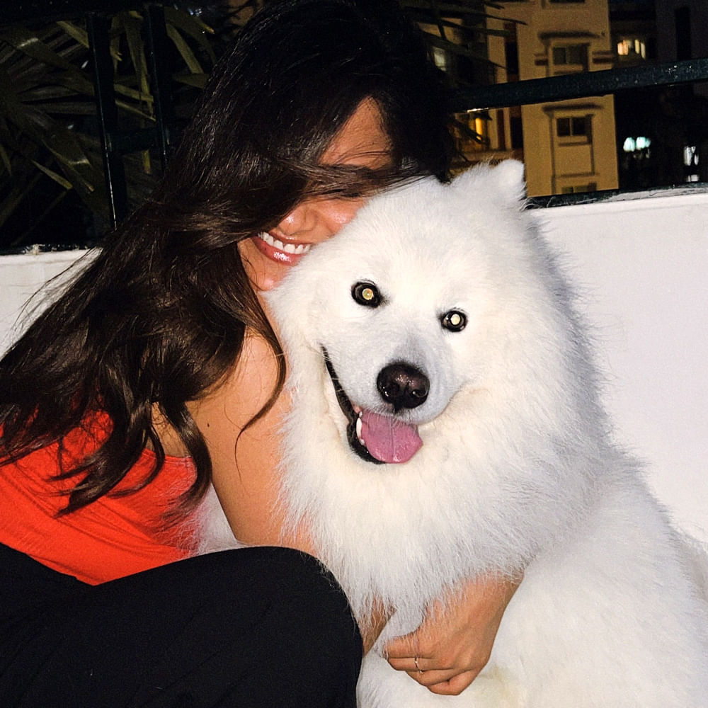 బేబీ సినిమా తర్వాత లవ్ మీ అనే సినిమా చేసింది. ఆశిష్ రెడ్డి హీరోగా నటించిన ఈ సినిమా ఆశించిన స్థాయిలో సక్సెస్ కాలేదు. దాంతో చిన్న గ్యాప్ తీసుకుంది వైష్ణవి.. చివరిగా సిద్దూ జొన్నలగడ్డ హీరోగా నటించిన జాక్ సినిమాలో నటించింది. కానీ ఈ సినిమా కూడా బెడిసికొట్టింది. ఆతర్వాత  మరోసారి ఆనంద్ దేవరకొండతో కలిసి ఓ సినిమా చేస్తుంది వైష్ణవి. 