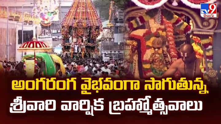 అంగరంగ వైభవంగా సాగుతున్న శ్రీవారి వార్షిక బ్రహ్మోత్సవాలు అంగరంగ వైభవంగా సాగుతున్న శ్రీవారి వార్షిక బ్రహ్మోత్సవాలు