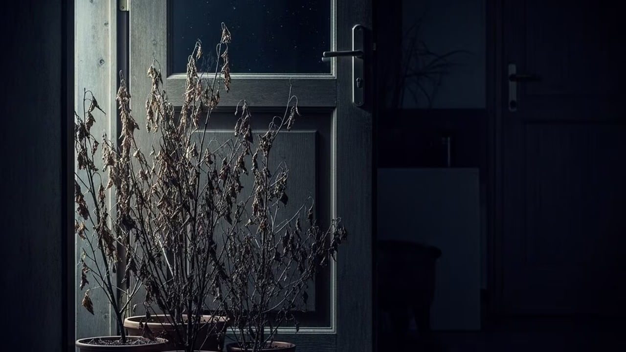 వాస్తు ప్రకారం, ఇంటిలోపల ఎట్టిపరిస్థితుల్లోనూ ఎండిన మొక్కలు ఉండకూడదంట. ఎండిపోయిన మొక్కలను ఇంటిలోపల ఉంచడం వలన ఇవి నెగిటివ్ ఎనర్జీనీ తీసుకొస్తాయి. దీంతో కుటుంబంలో ఆర్థిక సమస్యలు, విభేదాల వంటివి తలెత్తుతాయంట.