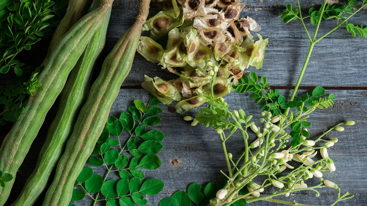 
మునగ చెట్టులోని ప్రతి భాగం తినదగినది. అందుకనే దీనిని "అద్భుత వృక్షం" అని అంటారు. మునగ ఆకులు, కాయలు, పువ్వులు అన్నిటిలో విటమిన్లు A, E, C, కాల్షియం, ఇనుము, పొటాషియం పుష్కలంగా కలిగి ఉన్నాయి. యాంటీఆక్సిడెంట్లు సమృద్ధిగా ఉండటం వలన ఇది దీర్ఘకాలిక వ్యాధుల నుంచి రక్షిస్తుంది. చర్మం, జుట్టు ఆరోగ్యాన్ని మెరుగుపరచడానికి, కాలేయ పనితీరుకు మద్దతు ఇవ్వడానికి, కడుపు సమస్యలతో పోరాడటానికి సహాయపడుతుంది. 