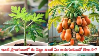 Mouthwash: మౌత్‌వాష్‌ వాడకం నిజంగా ప్రాణాంతకమా? రోజూ వాడితే ఏమవుతుందీ..