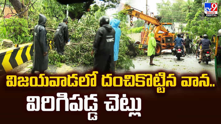 Vijayawada: విజయవాడలో దంచికొట్టిన వాన.. విరిగిపడ్డ చెట్లు Vijayawada: విజయవాడలో దంచికొట్టిన వాన.. విరిగిపడ్డ చెట్లు