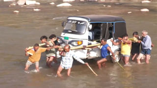Viral Video: కొండచిలువ తిరగబడితే ఎట్టుంటుందో తెల్సా.. వీడియో చూస్తే ఒళ్లు జలదరిస్తుంది