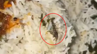 Andhra: తెల్లారేసరికి బ్యాంక్ క్లీన్ చేసేందుకు వచ్చిన సిబ్బంది.. గోడకు కనిపించింది చూడగా