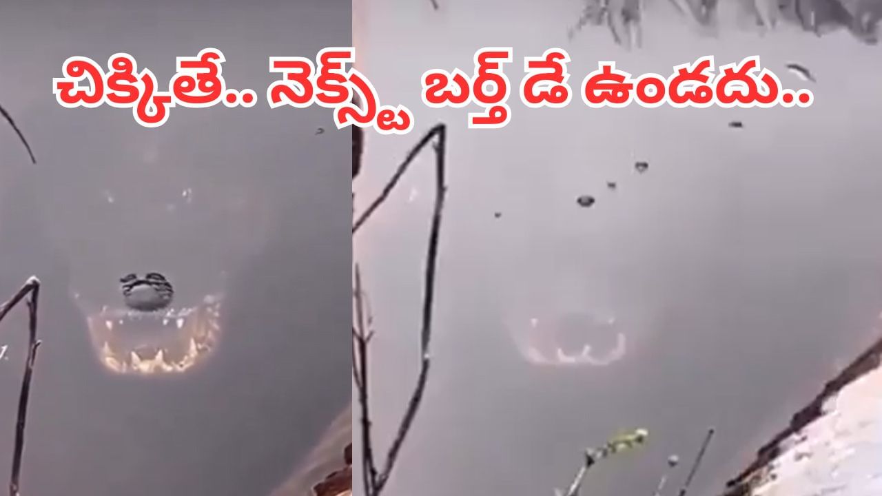 Viral Video: నీటి కుంటలో వింత ఆకారం.. కెమెరా జూమ్ చేయగా.. అమ్మ బాబోయ్..!