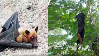 ఎవడ్రా వీడు.! సీటు లేదని చెప్పాడని ఏం చేశాడంటే.? వీడియో చూస్తే రగిలిపోతారు..!