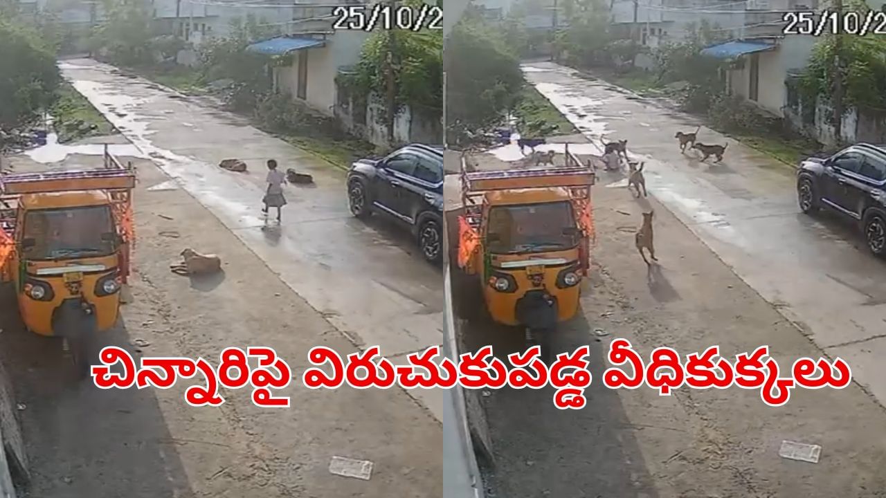 Watch Video: చిన్నారిపై 10 వీధికుక్కల మూకుమ్మడి దాడి.. వణకుపుట్టిస్తున్న షాకింగ్ వీడియో