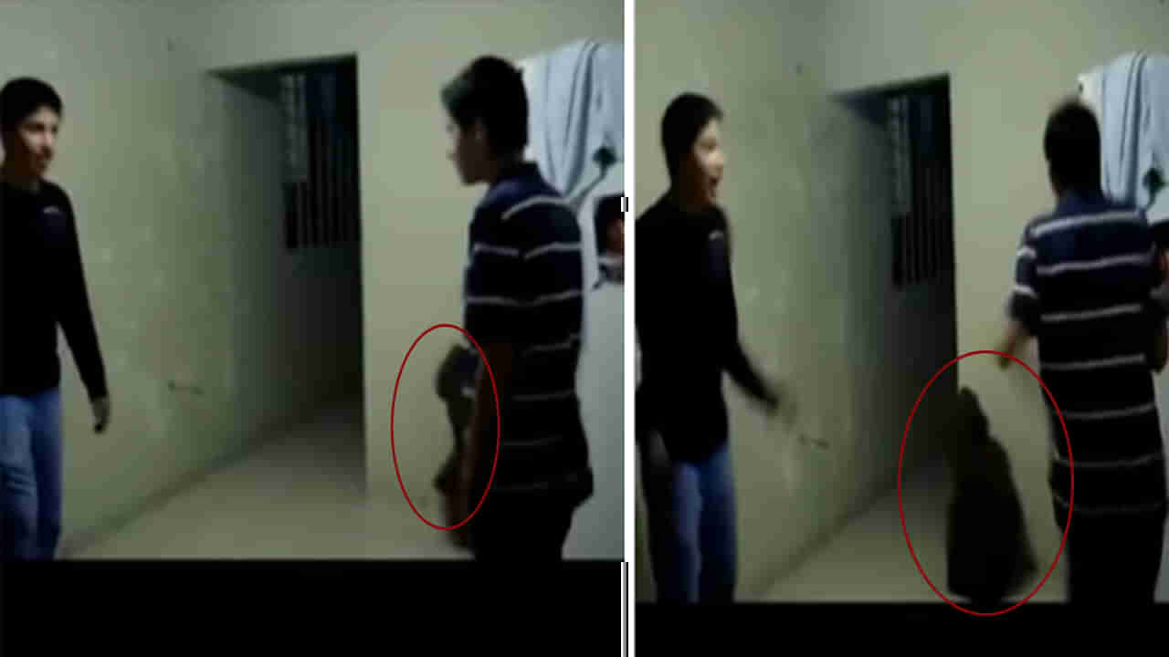 Viral Video: పిల్లలు ఆడుతుండగా పరిగెత్తిన నల్లటి ఆకారం.. వీడియో చూస్తే వణుకే