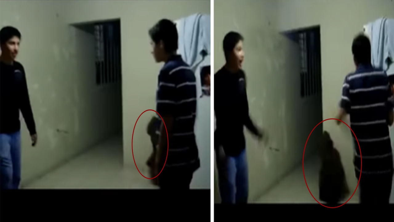 Viral Video: పిల్లలు ఆడుతుండగా పరిగెత్తిన నల్లటి ఆకారం.. వీడియో చూస్తే వణుకే