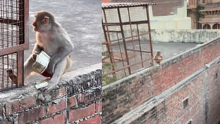 చీరలతో గర్భా డ్యాన్స్ చేసే పురుషులు.. ఈ సంప్రదాయం వెనుక 200 ఏళ్లనాటి కథ.. వీడియో వైరల్