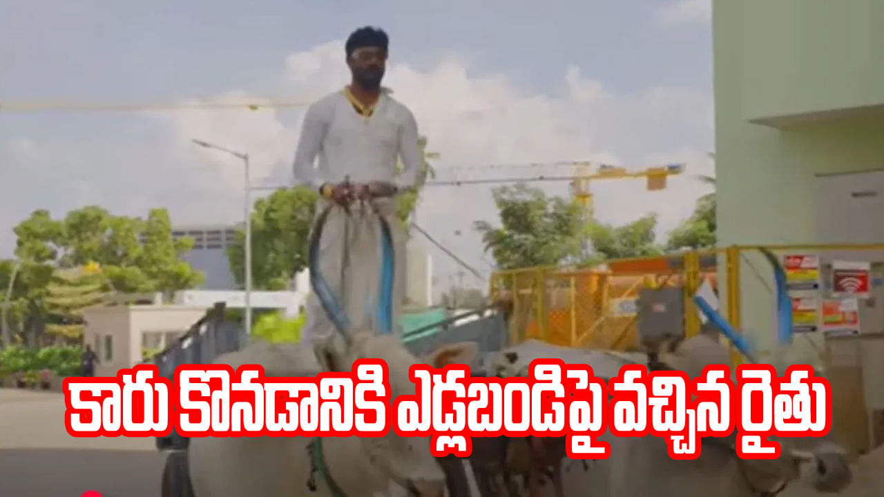 Viral Video: ఎద్దుల బండిపై వచ్చాడని చిన్నచూపు చూడొద్దు.. అతను కొన్న కారు ధర తెలిస్తే బిత్తరపోతారు