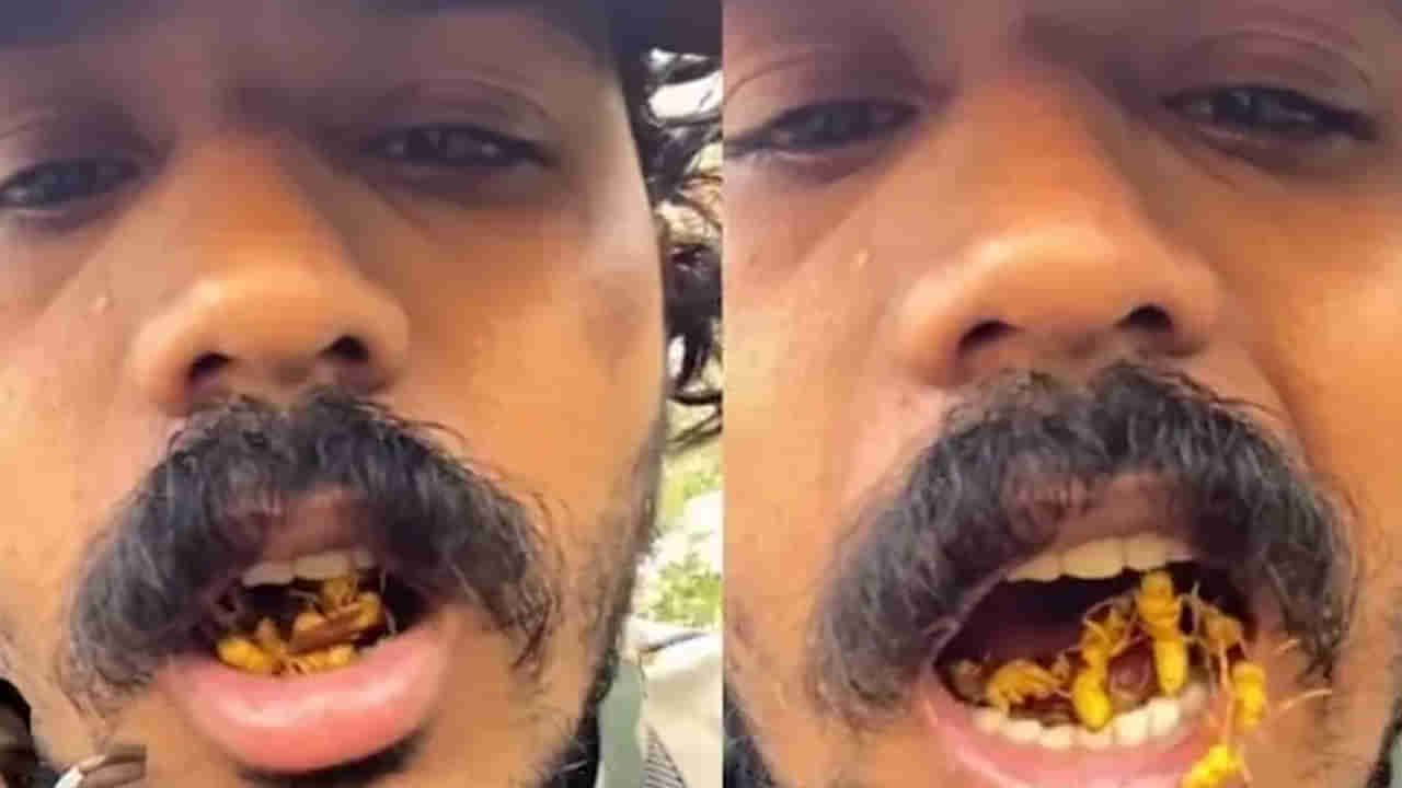 Viral Video: తన నోటిలో డజన్ల కొద్దీ కందిరీగలను దాచుకున్న యువకుడు.. పిచ్చికి పరాకాష్ట అంటున్న నెటిజన్లు