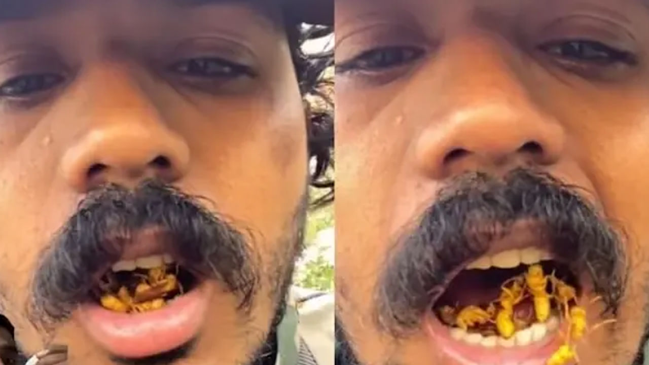 Viral Video: తన నోటిలో డజన్ల కొద్దీ కందిరీగలను దాచుకున్న యువకుడు.. పిచ్చికి పరాకాష్ట అంటున్న నెటిజన్లు