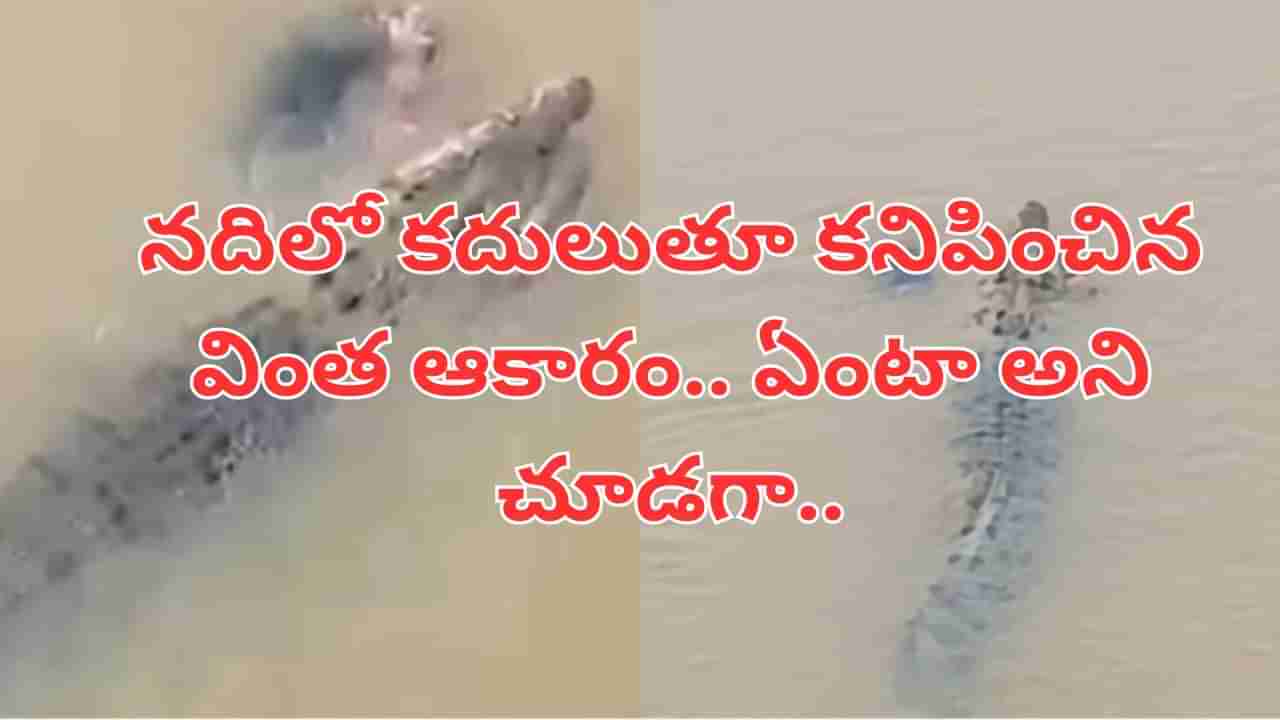 Watch Video: స్నానం చేసేందుకు నదికి వెళ్లిన మహిళ.. ఆ నెక్ట్స్ సీన్ ఏం జరిగిందంటే