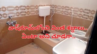 Andhra: 2,400 ఏళ్ల చరిత్రకు సాక్ష్యం.. ఆదరణకు నోచుకోని అశోకుడి కూతురు కట్టించిన అద్భుత కట్టడం.. ఎక్కడుందంటే