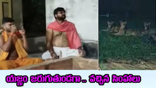 ఏ కంపెనీ సిలిండరైనా రెడ్‌ కలర్‌లోనే ఎందుకు ఉంటుంది? ఎప్పుడైనా ఆలోచించారా? అసలు కారణం ఇదే..