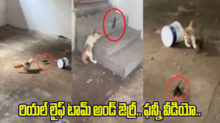 క్లాస్‌ రూమ్‌లో ఓ మహిళతో ఉపాధ్యాయుడి రాసలీలలు..! వీడియో తీసిన పిల్లలు..