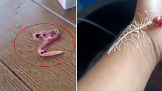 Video: దీపావళికి ఇవా ఇచ్చేది..? ఛల్‌ మాకొద్దు పో..! కంపెనీ గేట్‌ ముందు సోన్‌పాపిడీ బాక్స్‌ల కుప్ప..