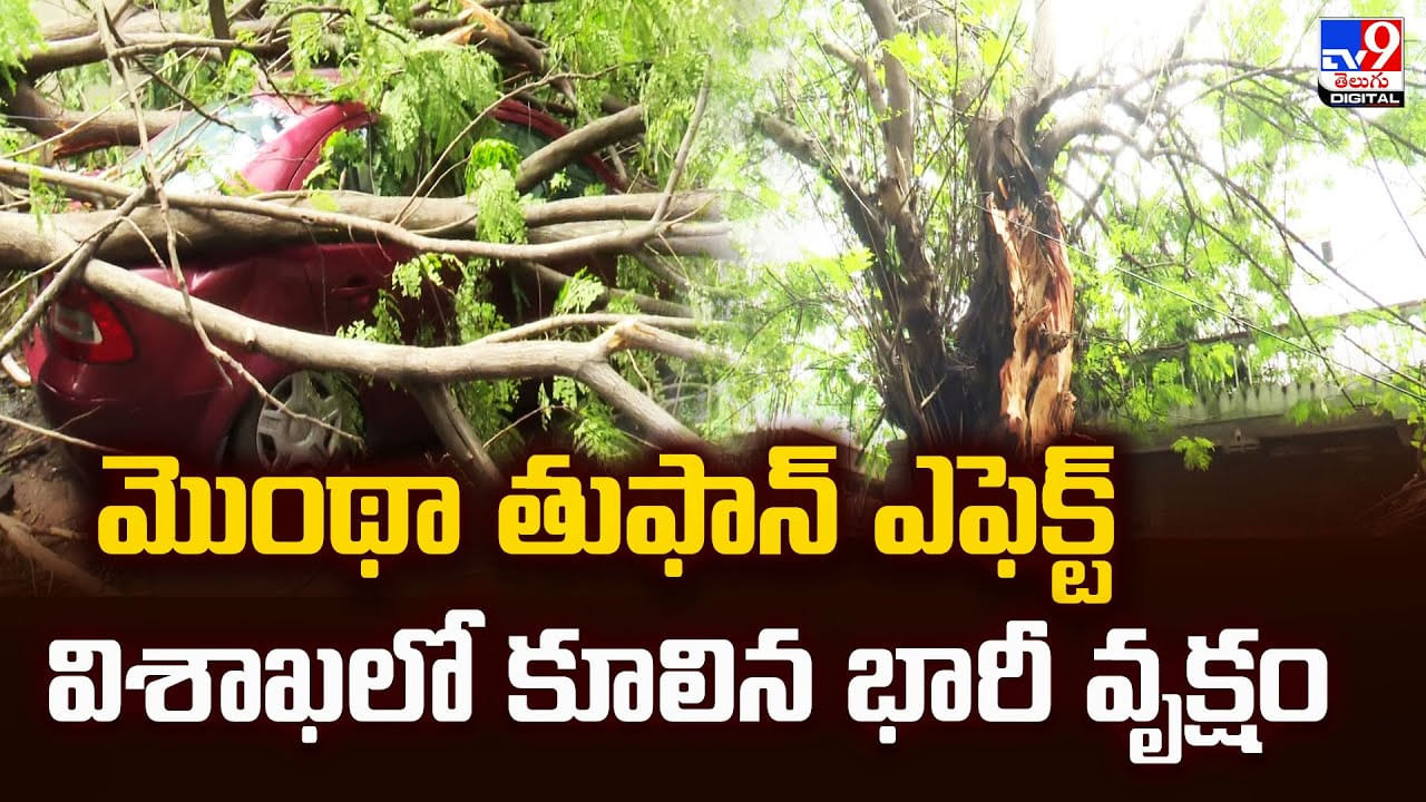 మొంథా తుఫాన్‌ ఎఫెక్ట్‌.. విశాఖలో కూలిన భారీ వృక్షం