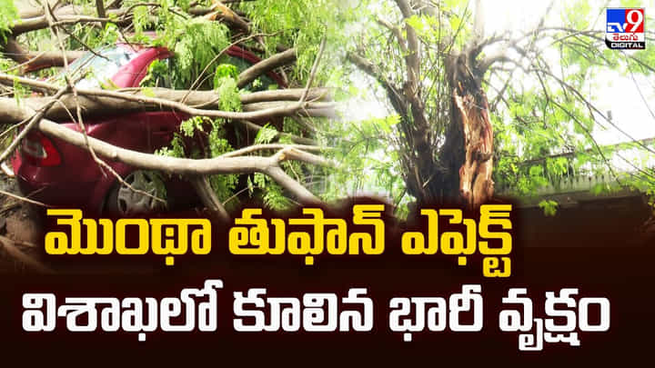 మొంథా తుఫాన్ ఎఫెక్ట్.. విశాఖలో కూలిన భారీ వృక్షం మొంథా తుఫాన్ ఎఫెక్ట్.. విశాఖలో కూలిన భారీ వృక్షం
