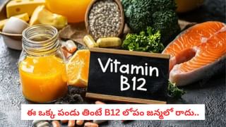 Cleaning Hacks: ఇంటి నేలపై, గోడలకు నాచు పట్టేసిందా.. ఈ సింపుల్ టిప్స్‌తో ఈజీగా శుభ్రం చేసుకోండి..