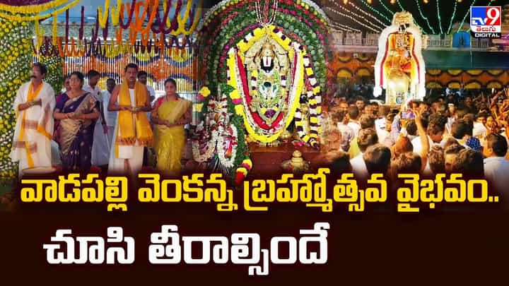 వాడపల్లి వెంకన్న బ్రహ్మోత్సవ వైభవం.. చూసి తీరాల్సిందే! వాడపల్లి వెంకన్న బ్రహ్మోత్సవ వైభవం.. చూసి తీరాల్సిందే!