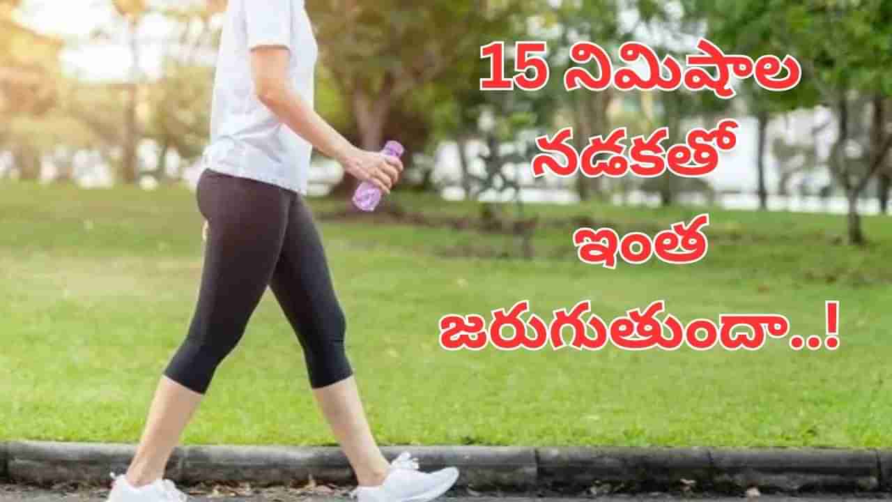 Health Tips: ప్రతిరోజు ఉదయం 15 నిమిషాలు నడిస్తే ఏమవుతుందో తెలిస్తే అవాక్కే..