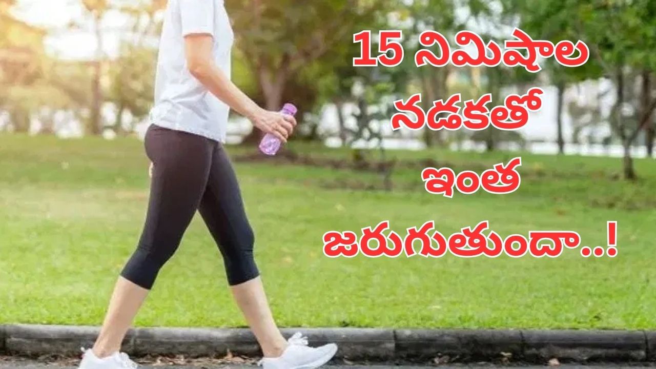 Health Tips: ప్రతిరోజు ఉదయం 15 నిమిషాలు నడిస్తే ఏమవుతుందో తెలిస్తే అవాక్కే..