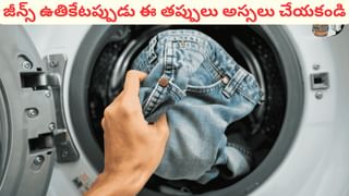 Optical illusion: మీకో సవాల్..ఈ చిత్రంలో ఉన్న పిల్లిని గుర్తిస్తే..మిమ్మల్ని మించిన తోపుల్లేరు