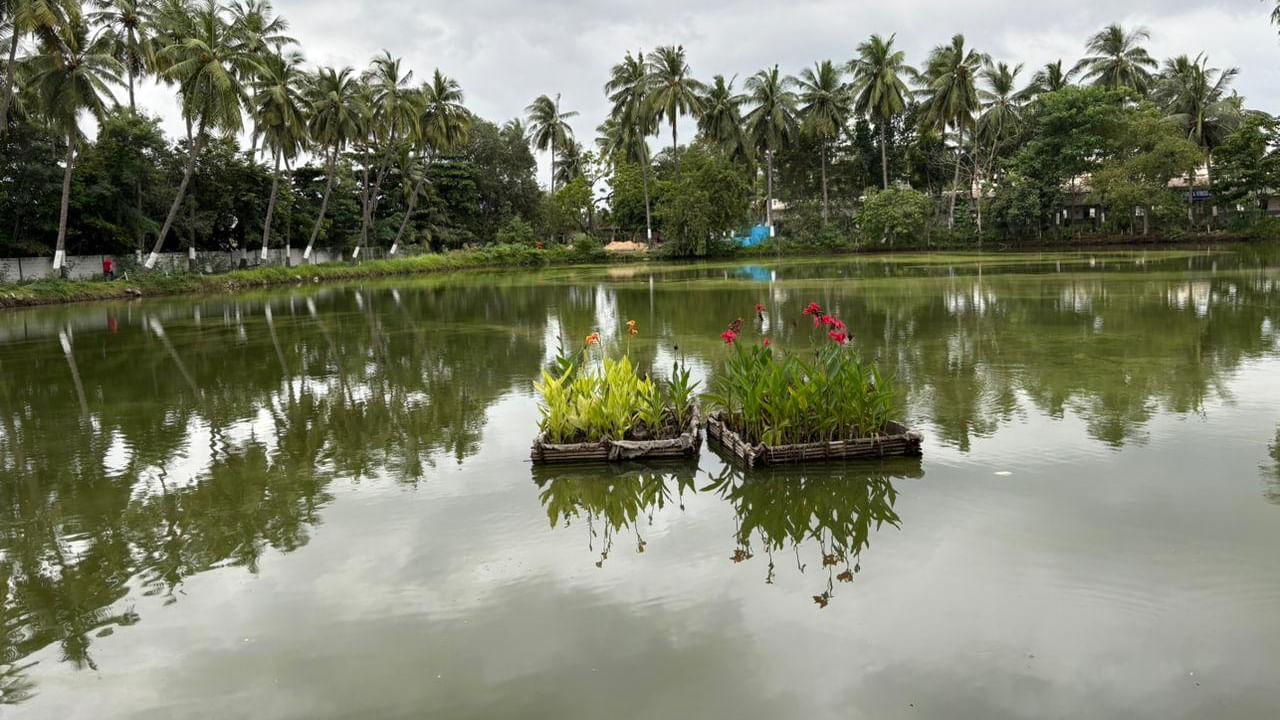 Andhra: ఈ మొక్కలు నీటిని శుద్ధి చేస్తాయట.. ఇలా మీ చెరువులను సహజంగా క్లీన్ చేసుకోవచ్చు..